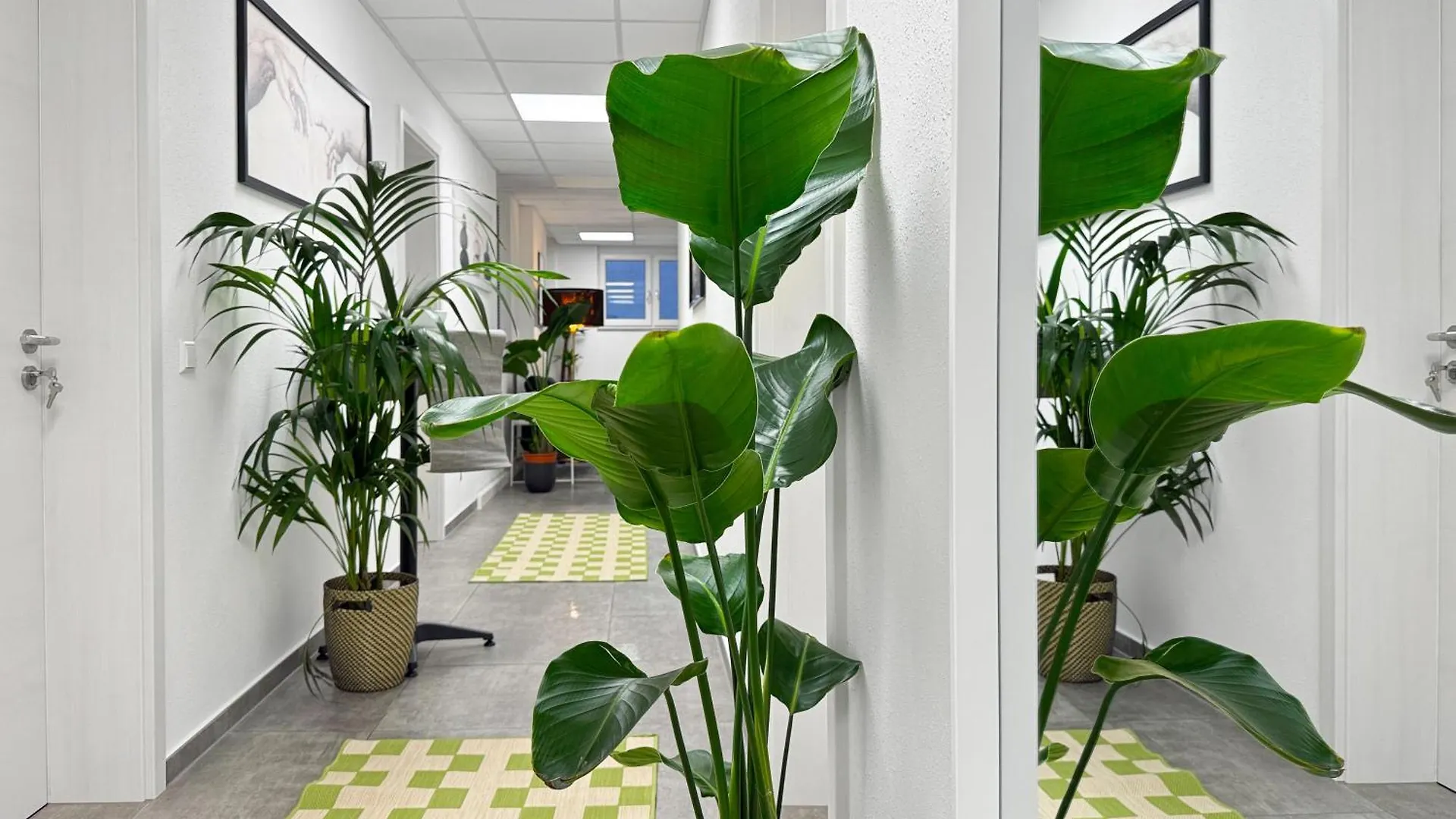 Group Friendly Comfort Central Stuttgart Apartment Germany