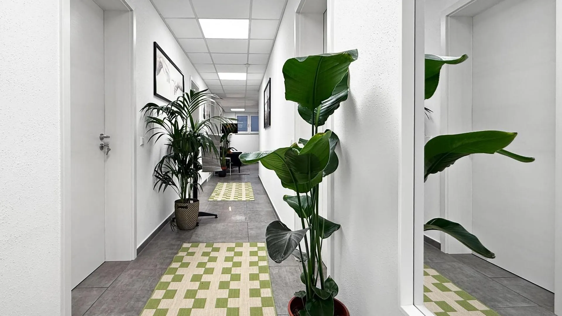 Group Friendly Comfort Central Stuttgart Apartment Germany